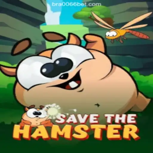 Save the Hamster: Dive into an Exciting Gaming Adventure